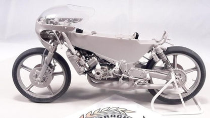 BRACH MODEL - BM-VR 06 1981 Minarelli 125cc Loris Reggiani